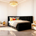 Plush Black