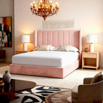 Plush Pink