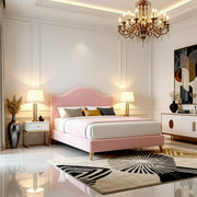 Plush Pink