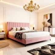 Plush Pink